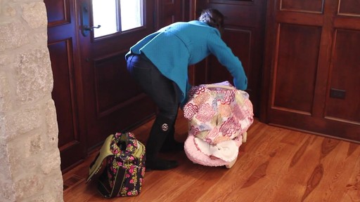 Itzy Ritzy Peek-A-Boo Pod Infant Carrier Rundown - image 3 from the video