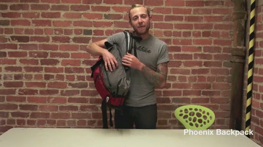 Timbuk2 Phoenix Backpack - image 10 from the video