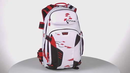 DAKINE Team Heli Pro DLX 20L - Eric Pollard - image 10 from the video