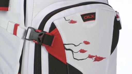 DAKINE Team Heli Pro DLX 20L - Eric Pollard - image 4 from the video
