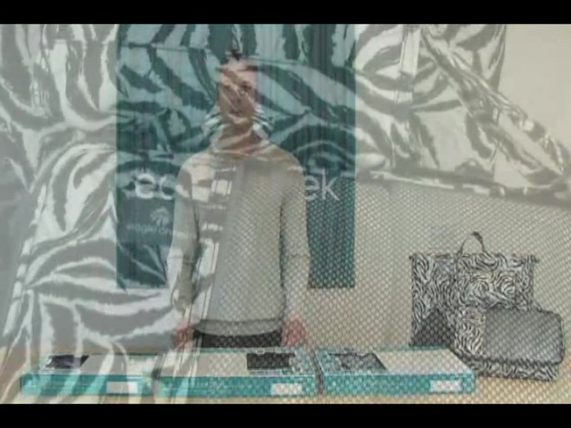 Pack-it System Solution Sets - image 2 from the video