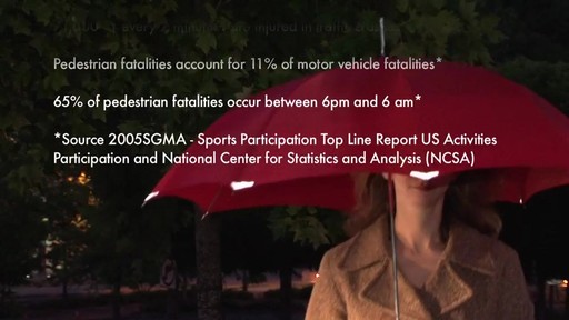 ShedRain - Walksafe - image 8 from the video