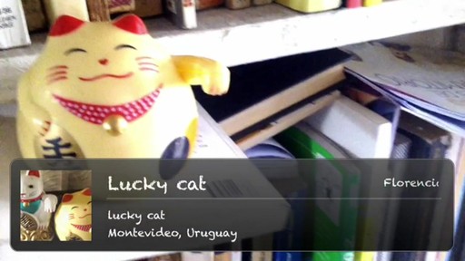 Lucky cat - image 1 from the video