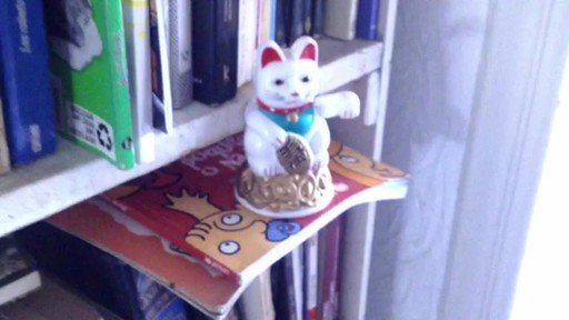 Lucky cat - image 2 from the video