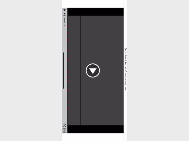 Widget with transcript - image 5 from the video