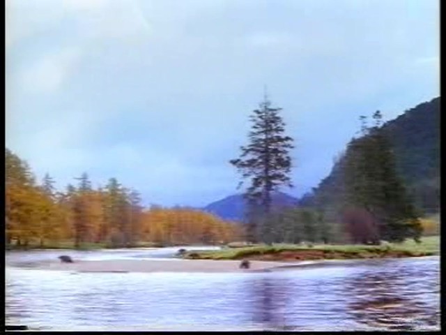 Continental ExtremeWinterContact - image 1 from the video