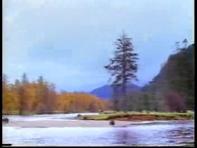 Continental ExtremeWinterContact - image 2 from the video