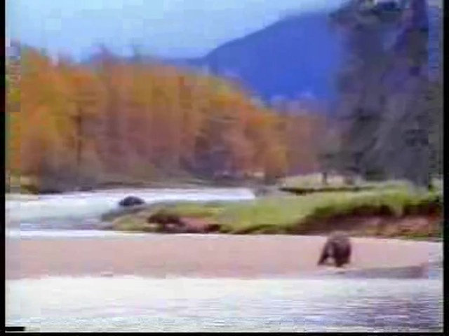 Continental ExtremeWinterContact - image 3 from the video