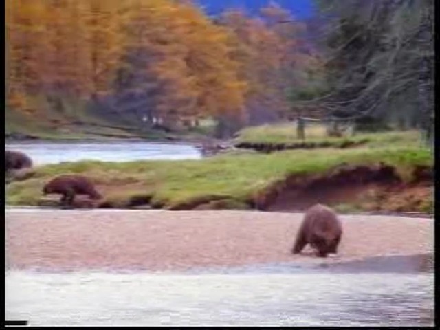 Continental ExtremeWinterContact - image 4 from the video