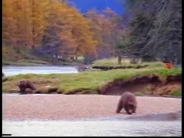 Continental ExtremeWinterContact - image 5 from the video