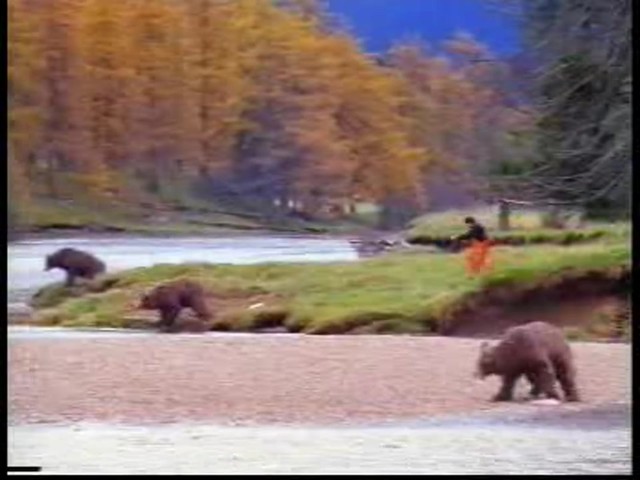 Continental ExtremeWinterContact - image 6 from the video