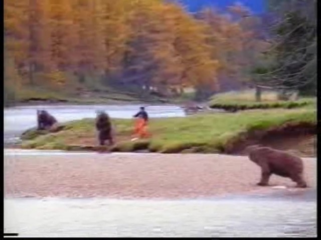 Continental ExtremeWinterContact - image 7 from the video