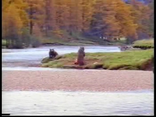 Continental ExtremeWinterContact - image 8 from the video