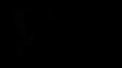 Test Title - image 2 from the video