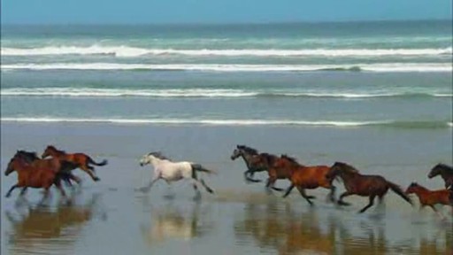 Test bug 8122 - image 1 from the video