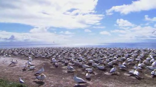 Test bug 8122 - image 10 from the video