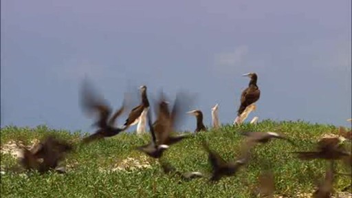 Test bug 8122 - image 2 from the video