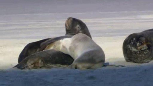 Test bug 8122 - image 3 from the video