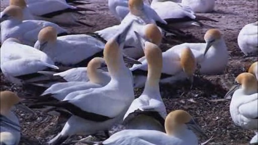 Test bug 8122 - image 5 from the video