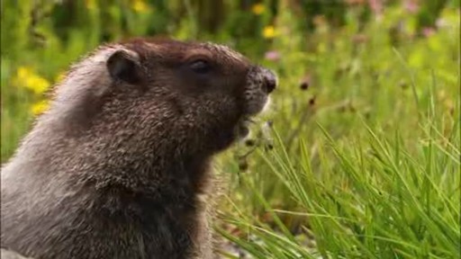 Test bug 8122 - image 7 from the video