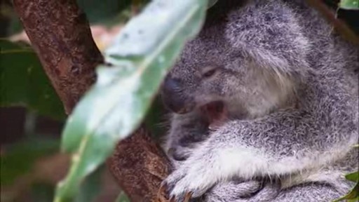 Test bug 8122 - image 8 from the video