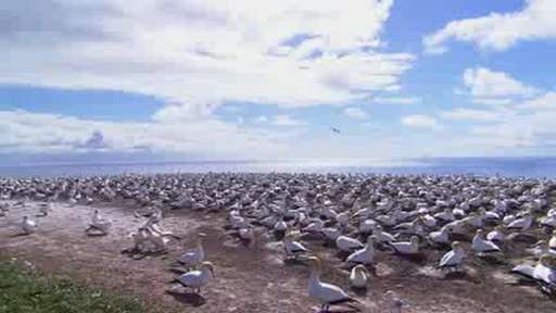 Test bug 8122 - image 9 from the video