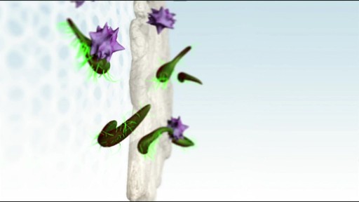 Clear Care Lens Solution product | VisionDirect.com - image 4 from the video