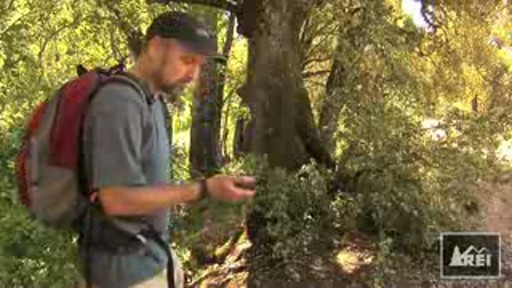 Introduction to Geocaching Video - image 1 from the video
